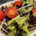 マリリンみいな's cooksnap of when they made サニーレタスと長ネギと海苔の韓国サラダ.