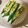 ｙｏｋｋｙｕｎ's cooksnap of when they made 餃子の具余ってない？.
