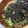 yu228's cooksnap of when they made 超簡単！塩昆布と焼き海苔のおすまし.