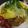 cocomakico's cooksnap of when they made ★贅沢な半熟とろとろオムライス★.
