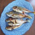 ペキのリリー's cooksnap of when they made ご飯が進む！鯵・鰯の唐揚〜甘辛生姜風味〜.