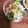 ふか谷's cooksnap of when they made 毎日1本食べられる！ゴーヤのサラダ.