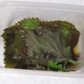 きらり流れ星's cooksnap of when they made 紫蘇の葉の醤油漬け(覚え書き).