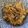 R2016's cooksnap of when they made たまねぎたっぷり*豚しょうが丼.