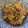 R2016's cooksnap of when they made たまねぎたっぷり*豚しょうが丼.