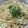 ☆卵大好き☆'s cooksnap of when they made キャベツ＆もやしで簡単塩パスタ！.