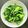 ひさかた's cooksnap of when they made にんにくの芽の炒めもの岩塩がけ.