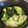 あまね's cooksnap of when they made 超簡単！うまっ！ワンタンうどん★.