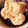 ame-ikuru's cooksnap of when they made *エビとキャベツのニンニクエビマヨ*.