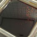 クック6U7INU☆'s cooksnap of when they made 発酵調味料★醤油こうじ.