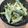 Reinaxoxo's cooksnap of when they made アスパラとゆで卵のサラダ.