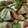 クックVJVT8E☆'s cooksnap of when they made とろーり白ナスの南蛮漬け.
