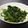 cocomakico's cooksnap of when they made ホウレン草と春菊の胡麻和え.
