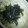 ranmao☆'s cooksnap of when they made 簡単！！即席お茶漬け♫♬.