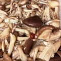 リリカメ's cooksnap of when they made 焼きキノコのマリネ＊しめじ椎茸マイタケ.