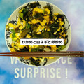 ゆういちゆうか's cooksnap of when they made ☆わかめと白ネギと卵炒め☆.