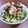 ponnko's cooksnap of when they made ツナマヨときゅうりの☆すし丼.