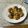 yesmama's cooksnap of when they made たこ焼き….