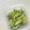 Ruriluru's cooksnap of when they made きゅうりとたくあん小鉢.