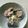 Ruriluru's cooksnap of when they made 糖質制限 さば缶でサバマヨ.