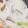 ママ☆たぬき's cooksnap of when they made たっぷり野菜のちゃんぽんスープ.