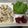 クックD6KVC7☆'s cooksnap of when they made 鶏ササミと梅肉の大葉包み.