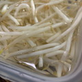 MULA's cooksnap of when they made 家計の救世主！もやしさんの保存方法や～.