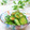 Satoco❋'s cooksnap of when they made ちゃちゃっと胡瓜の即席漬け(*´﹀`*).