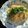 たくみにこ's cooksnap of when they made ●マヨラー必見！！明太マヨ冷製パスタ●.