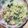 ひまわり６号's cooksnap of when they made 母と息子の為のずぼらカルシウムたんぱく飯.