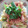 ☆卵大好き☆'s cooksnap of when they made おいしく簡単★鮭と卵の二色丼★.