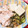 Chatomo♪'s cooksnap of when they made 田舎の夏のごちそう“埼玉冷汁そうめん”.