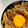 SAsunny's cooksnap of when they made 豚丼(簡単).