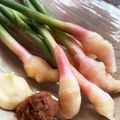 よしよしのキッチン☆'s cooksnap of when they made 谷中生姜(葉生姜)**味噌＋マヨネーズ.