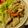 りいこりんご's cooksnap of when they made 10分！鶏モモ肉のハーブ蒸✿レモン醤油で.