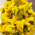 bebene's cooksnap of when they made レーズン入り♪かぼちゃのサラダ.