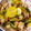 クックるん☆戦隊's cooksnap of when they made ゴーヤと豚ばら肉のオイマヨ炒め.
