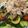 07_YUKI_05's cooksnap of when they made 夏野菜でスタミナたっぷり♫冷しゃぶサラダ.