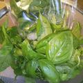 子供たちは将棋に夢中's cooksnap of when they made 庭のバジルを余すことなく使うための保存法.