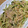 ナーちゃん's cooksnap of when they made えのきの梅肉和え.