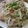 まあくんのおくさん's cooksnap of when they made 豚もやしの★あっさり★ポン酢炒め.