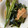 dollyj's cooksnap of when they made 厚揚げとオクラとワカメの煮びたし♬.
