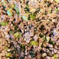 harukayuka's cooksnap of when they made 野菜不足の救世主！簡単こまつな丼.