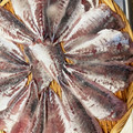 horseland's cooksnap of when they made アジの刺身　皮の引き方.