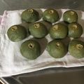 クックO7FA6Q☆'s cooksnap of when they made よもぎあんぱん.