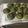 クックO7FA6Q☆'s cooksnap of when they made よもぎあんぱん.