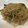 papikun's cooksnap of when they made ピーマン焼きそば.
