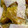 クックI1FJ57☆'s cooksnap of when they made かぼちゃの洋風コンソメ煮.