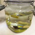 Moyusu's cooksnap of when they made レモングラスティー.