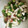 クックO7UFZH☆'s cooksnap of when they made おくらと山芋の梅肉和え.